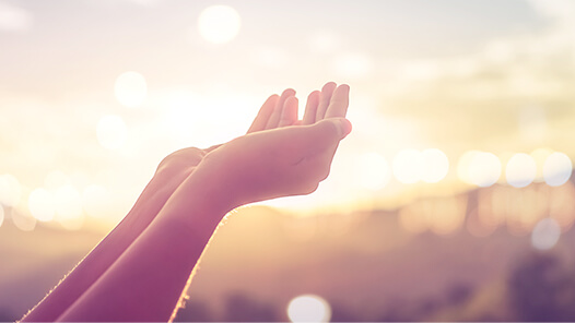 Born from “Samadhi”, the teaching that leads you to enlightenment